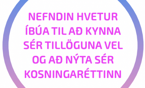 Kynningarbæklingur á leið í hvert hús